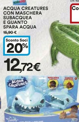 Ipercoop Accessori piscina offerta