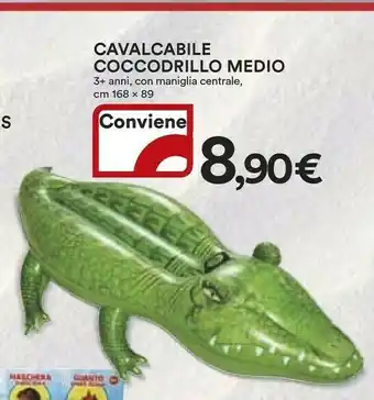 Ipercoop Accessori piscina offerta