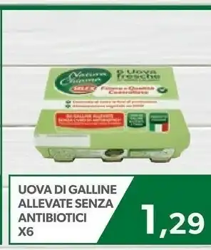 Ok Market Selex Uova Di Galline Allevate Senza Antibiotici offerta
