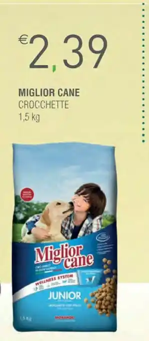 Shun Fa Cibo per cani offerta