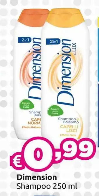 Dimension Shampoo 250 ml