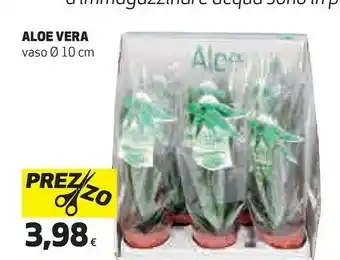 Coop Vera Piante offerta