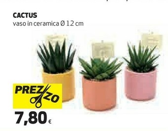 Coop Piante offerta