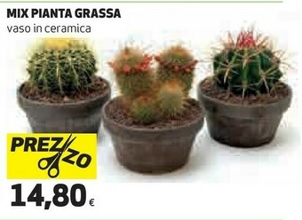 Coop Piante offerta