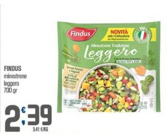 Ottimo Market Findus minestrone leggero 700 gr offerta