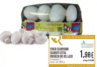 Conad City Consorzio ori del lazio Funghi Champignon Sgambato Extra offerta
