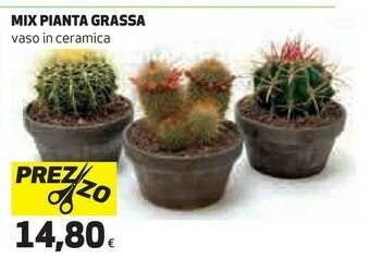 Coop Piante offerta