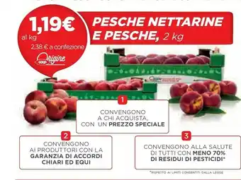 Coop Pesche Nettarine E Pesche offerta