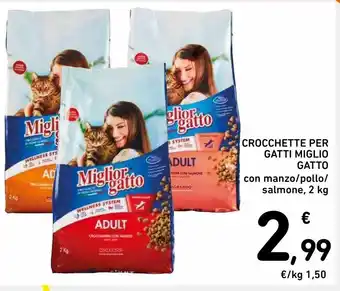 Spazio Conad Crocchette per gatti miglior gatto offerta