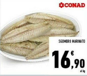 Conad Sgombro Marinato offerta