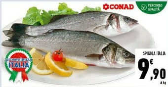 Conad Conad Spigola Italia offerta