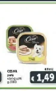 Deco Supermercati Casar Pate Cane offerta