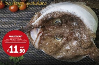Deco Supermercati Rana Pescatrice offerta