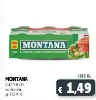 Deco Supermercati Montana Carne In Scatola 210 G offerta