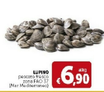 Deco Supermercati Lupino Pescato Fresco offerta