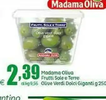 Elite Madama Oliva Frutti Sole E Terre Olive Verdi Dolci Giganti offerta