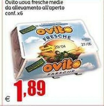 Elite Uova offerta