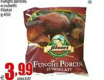 Elite Filotei Funghi porcini offerta