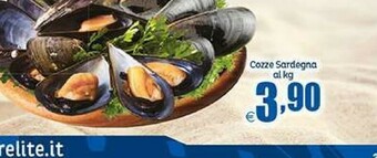 Elite Cozze offerta
