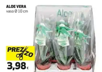 Ipercoop Vera Piante offerta