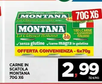 Interspar Montana Carne In Scatola offerta
