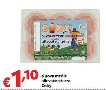 Pam Coky 6 Uova Medie Allevate A Terra offerta