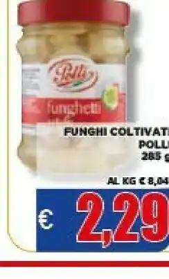 Vivo Supermercati Polli Funghi sott olio offerta