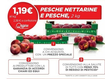 Coop Pesche Nettarine E Pesche offerta