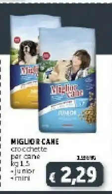 Deco Supermercati Morando Miglior Cane Crocchette Per Cane Junior offerta
