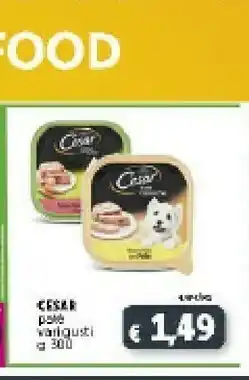 Casar Pate