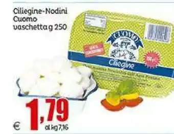 Elite Cuomo Mozzarella offerta