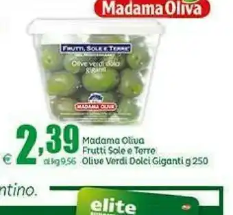 Elite Madama oliva Frutti Sole E Terre offerta