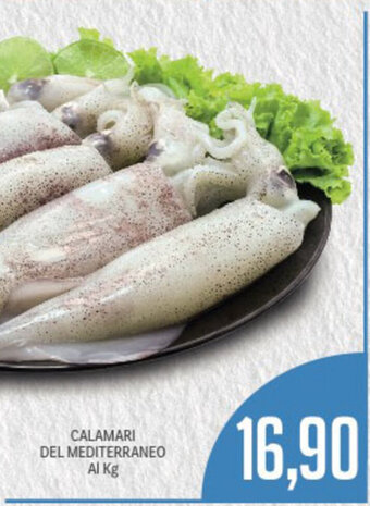 Supermercati Piccolo Calamari del Mediterraneo offerta