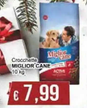 Miglior Cane Crocchette 10 kg