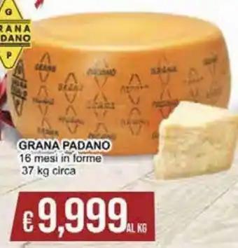 Italy Cash Grana Padano 16 mesi in forme 37 kg circa offerta