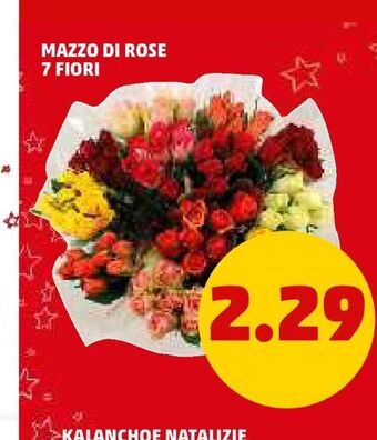 PENNY Mazzo di rose 7 fiori offerta