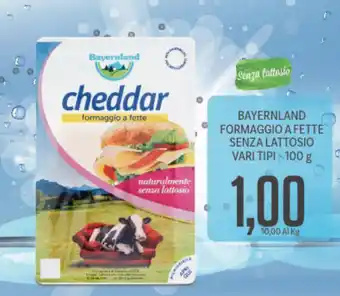Supermercati Piccolo Bayernland Formaggio A Fette Senza Lattosio Vari Tipi 100g offerta