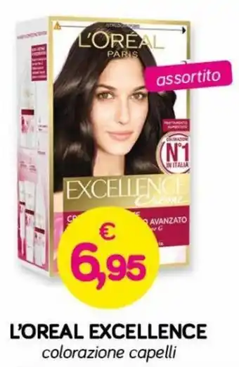 Il Tulipano L'Oréal Excellence offerta