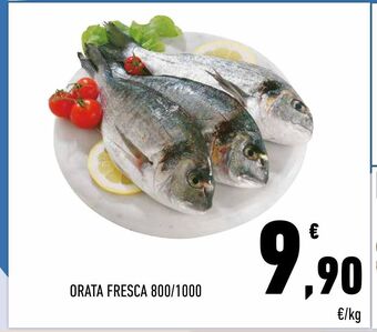 Conad Orata fresca 800/1000 offerta