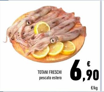 Conad Totani freschi offerta