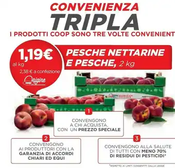 Coop Pesche Nettarine offerta