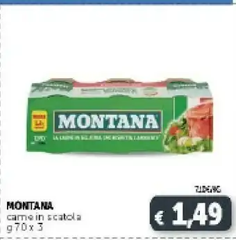 Deco Supermercati Montana Carne In Scatola offerta