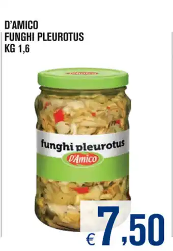 Adhoc D'Amico Funghi Pleurotus 1,6kg offerta