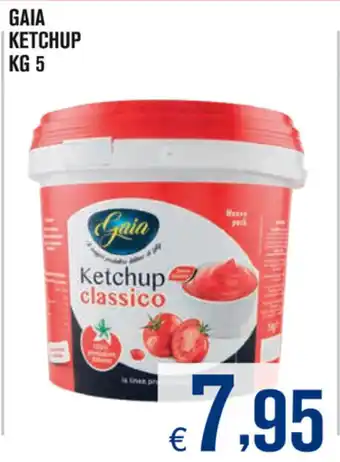 Gaia Ketchup 5kg