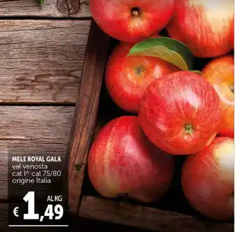 Deco Supermercati Mele Royal Gala Cal. 75/80 Cat.I Origine Italia offerta