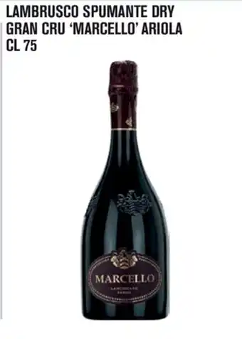 Adhoc Lambrusco Spumante Dry Gran Cru 'Marcello' Ariola 75cl offerta