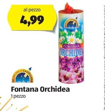 ALDI Fontana orchidea offerta