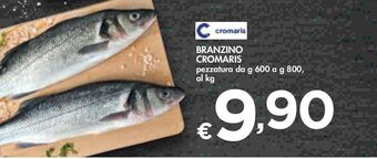 Bennet Branzino cromaris offerta