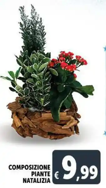 Deco Supermercati Composizione Piante Natalizia offerta