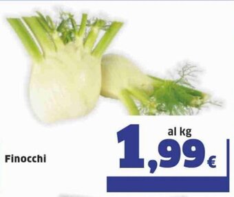Ok Sigma Finocchi offerta